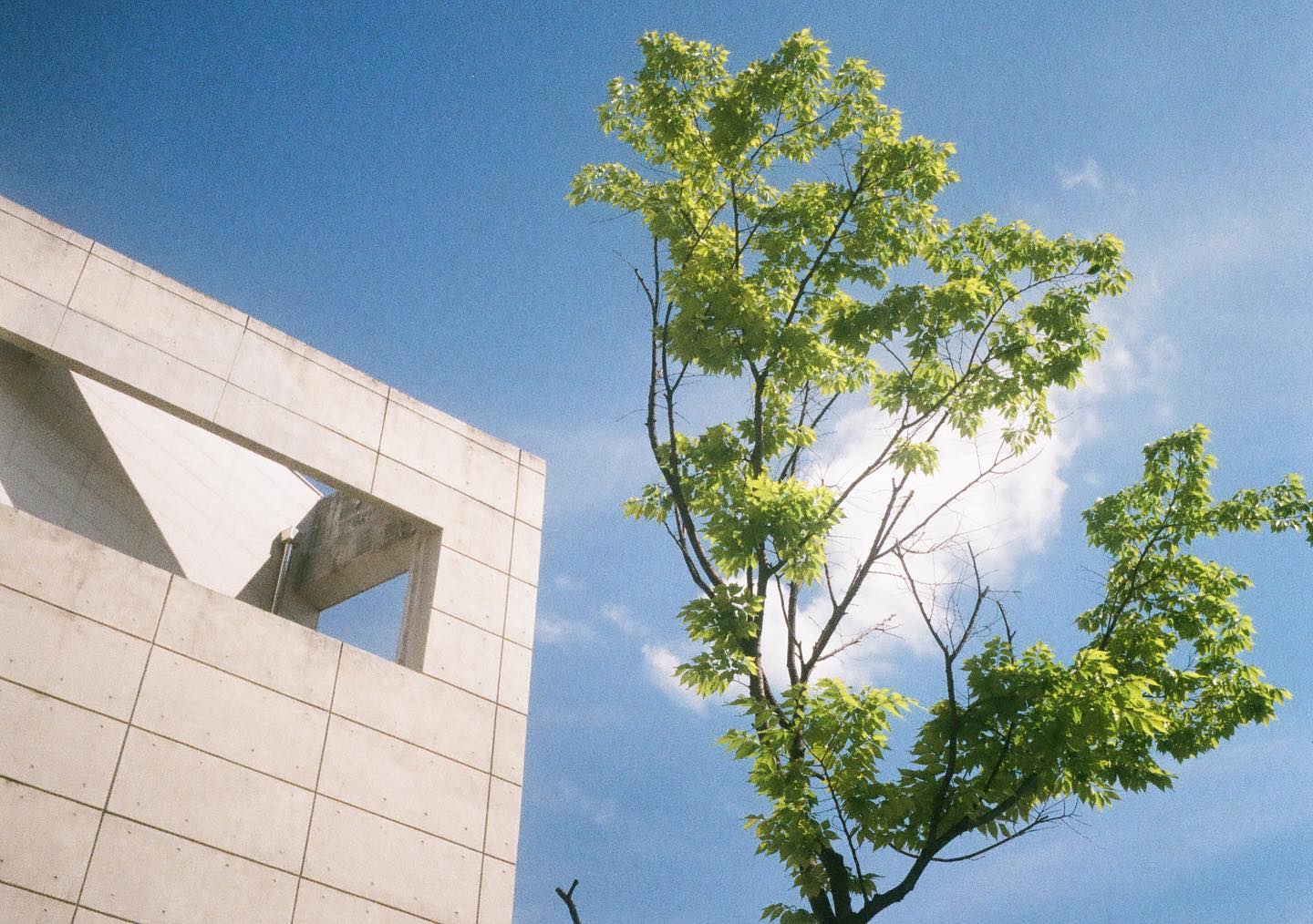 날씨가 좋아도 학교는... Olympus Pen ee3- Fujifilm C200