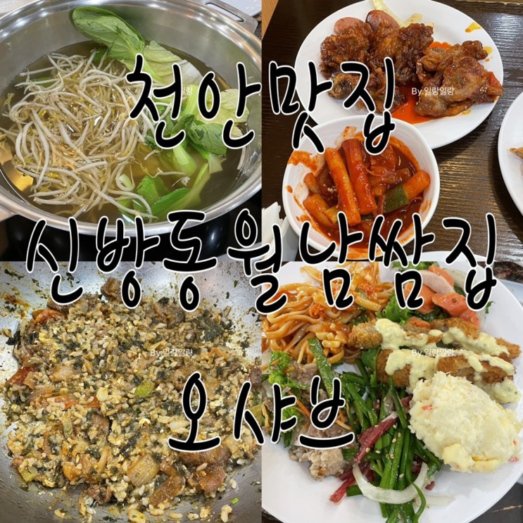 천안맛집/신방동월남쌈집 오샤브 첫방문! (샐러드바+고기, 야채, 음료 무한리필)