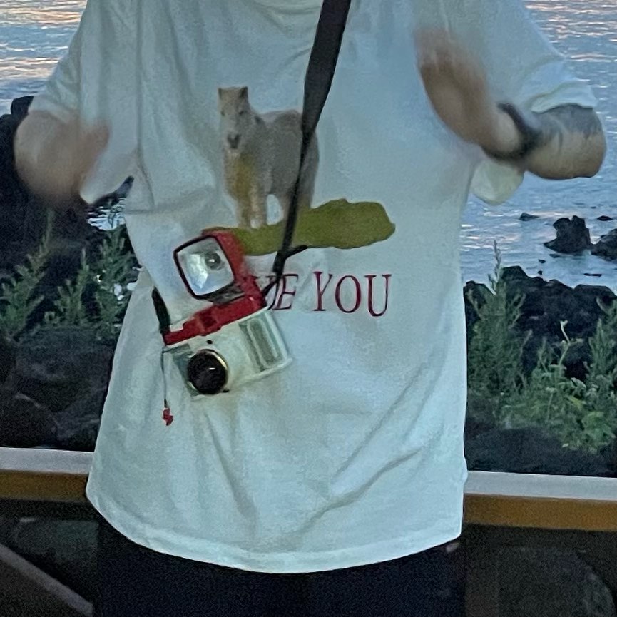 힐 링 캠 프 🏕