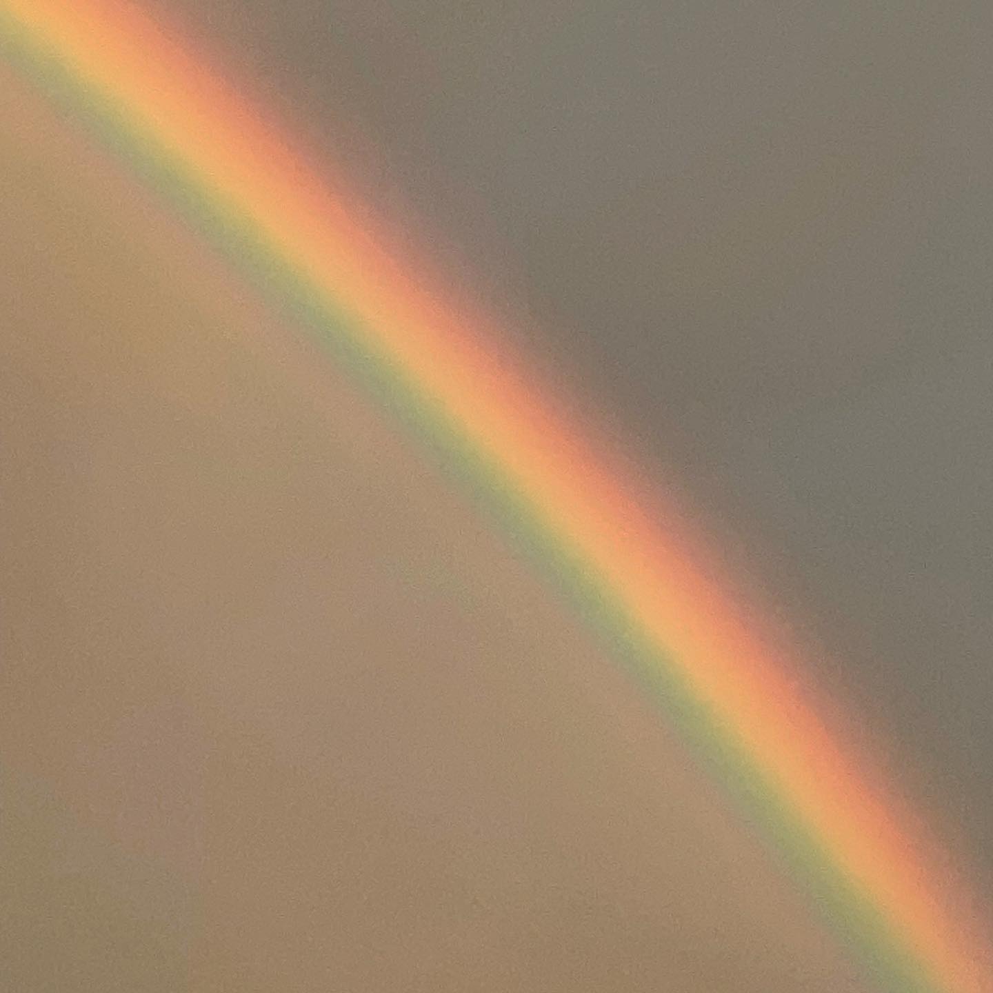 너무 이뻐 난 행운아야#무지개 #쌍무지개🌈🌈