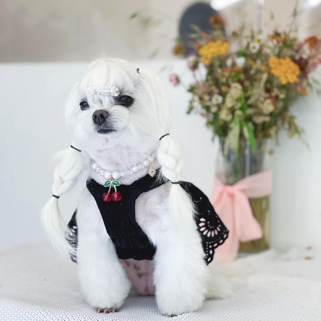 앵두🍒 (@aengdu_kim) posted on Instagram • Jun 26, 2021 at 9:42am UTC