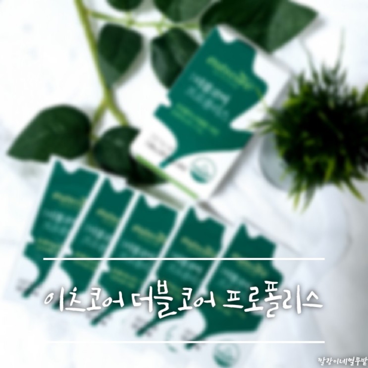 외부 유해 성분으로부터 구강 항균 관리 이츠코어 더블코어 프로폴리스