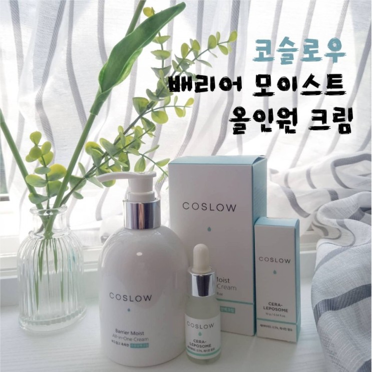 나만의 화장품 만들기 : 코슬로우 올인원 크림과 앰플 리뷰