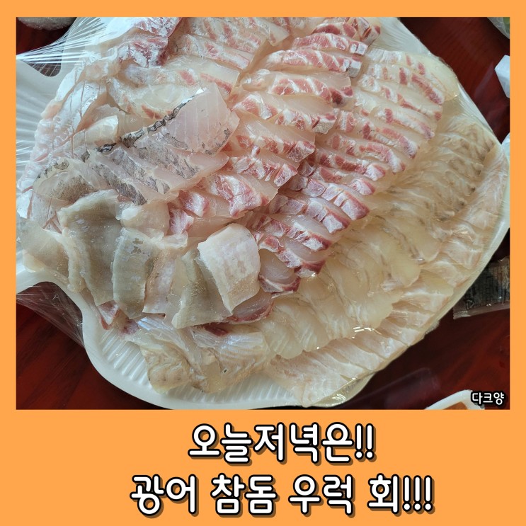 맛있는 회 포장에서 집에서 먹어 봅시다!
