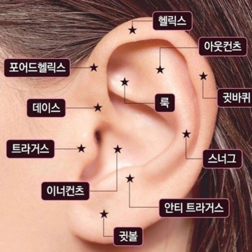탑헬릭스 & 눈썹 피어싱 후기