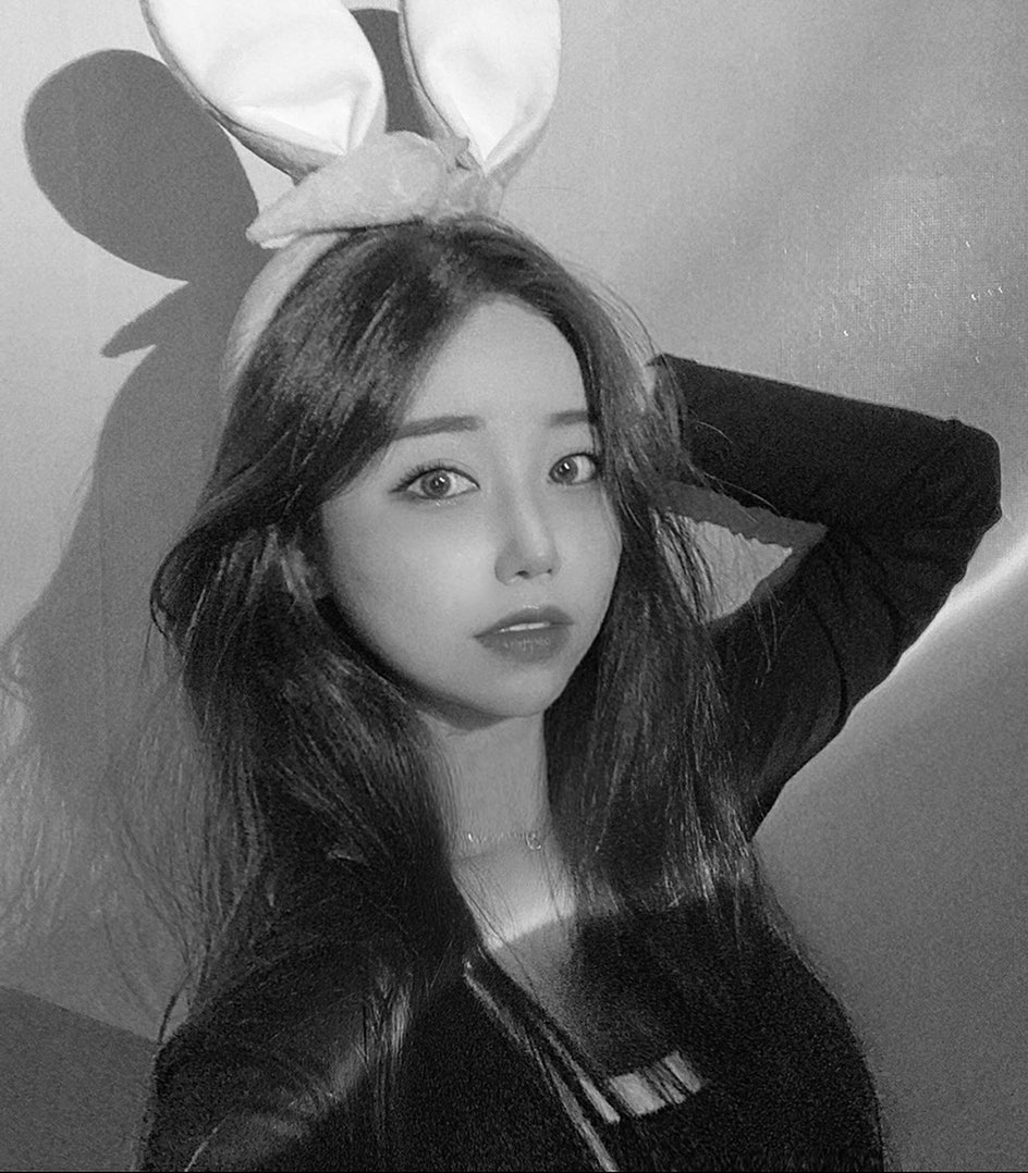 🐰🐰🐰🐰🥕🥕