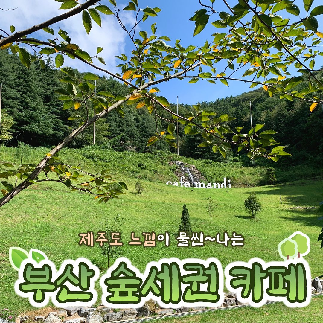 안녕하세요 ~ 
오랜만에 돌아온 토박이에요 ㅎㅎ 🤍

코로나가 심해지고 난 후에는  어딜 가기도 조심스러워지고 

도시 거리에 유명한 곳 보다는 자연을 더 찾게 되더라구요 ~ 

.
.

그래서 이번에는 산에 위치해있는 동화속에 나올 것 같은 #숲세권카페 를

다녀왔어용 [광고X] 

직원분들도 친절하시고 무엇보다 
커피가 너무 맛있어서 좋더라구요 ㅎ 
부모님 모시고 가도 너무 좋겠더라구요~

날씨 맑은날 해지기 전보다는 점심때쯤 가는거 추천해요 :)

꼭 기회가 되면 자주 오고싶은 곳 #카페만디#사하구카페#부산숲속카페 

.
.

예쁜 자연뷰보면서 힐링하러 갈 사람 @@태그하기