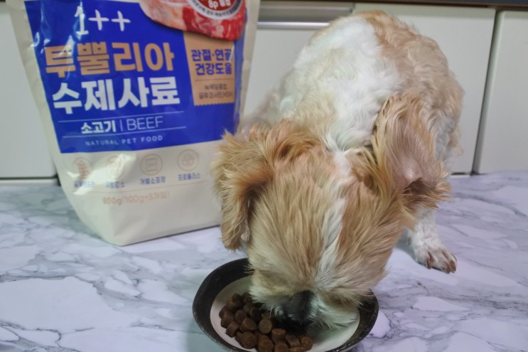 강아지습식사료 부드러운 WOORIZOO 투뿔리아수제사료