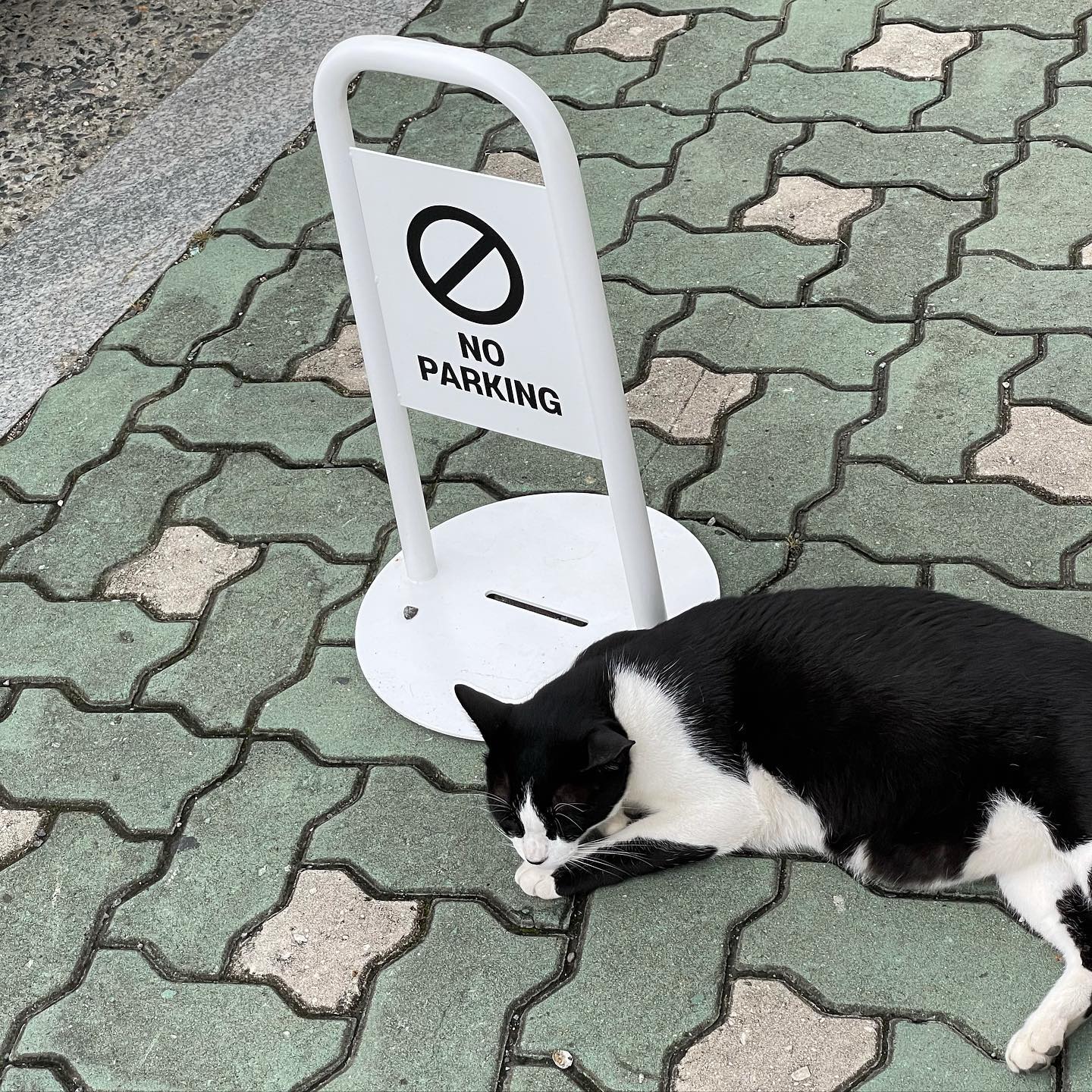콘텐츠