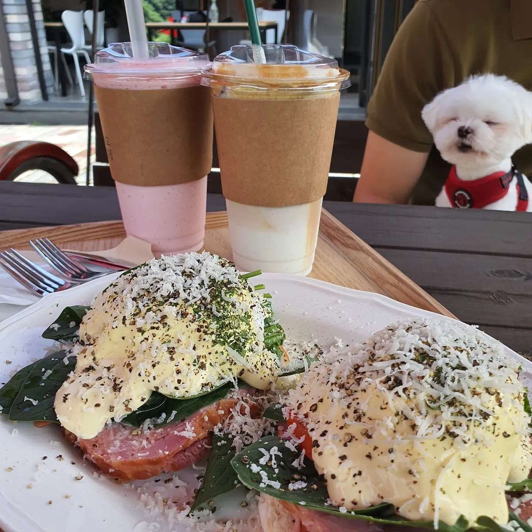 🚗원주 맛집탐방 on Instagram: “#협찬 🏠#여주맛집#숲을그리다 안녕하세요 인님들🥰🥰 즐거운(?)월요일이에요❗ 8월도 이제 이틀 남았네요😭 점점 쌀쌀하지는 날씨에 감기 조심하세요💓
