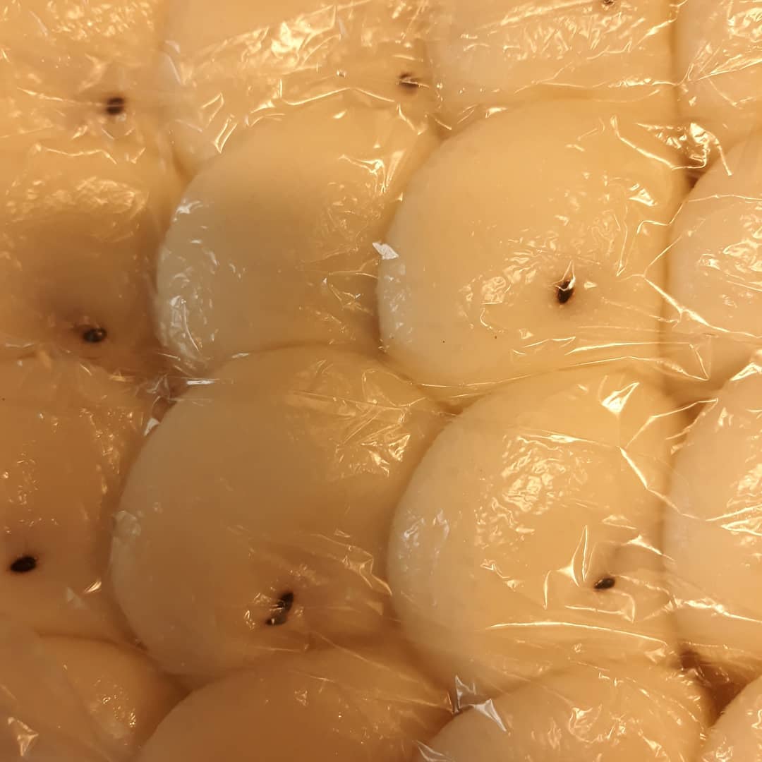 9 Likes, 0 Comments - 💩💩 (@cyj2019_) on Instagram: “@81hyunjung 기정떡 최고! 드시기에는 좀 달다고하셔서 다음번에 기회될때 구매는 암것도 안들은 기정떡으로! #기정떡위례점 #기정떡강서점 #떡 #이벤트 #기정떡 #술빵…”