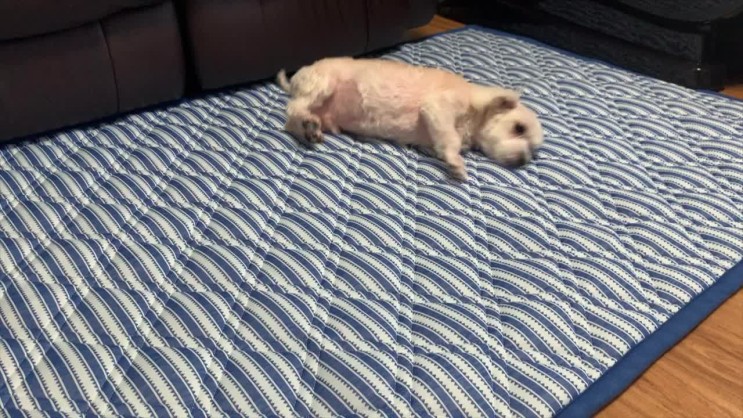 냉감 여름패드 / 허즈하임 쿨겟에어패드로 뽀송하게 올여름나기:)