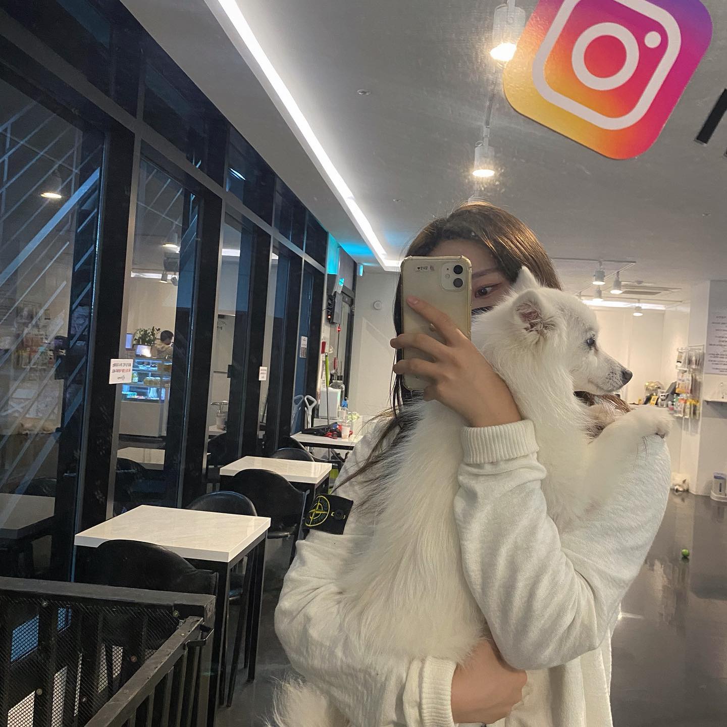 언니도 빠지 좋아해 🤍
#남의집 #반려견