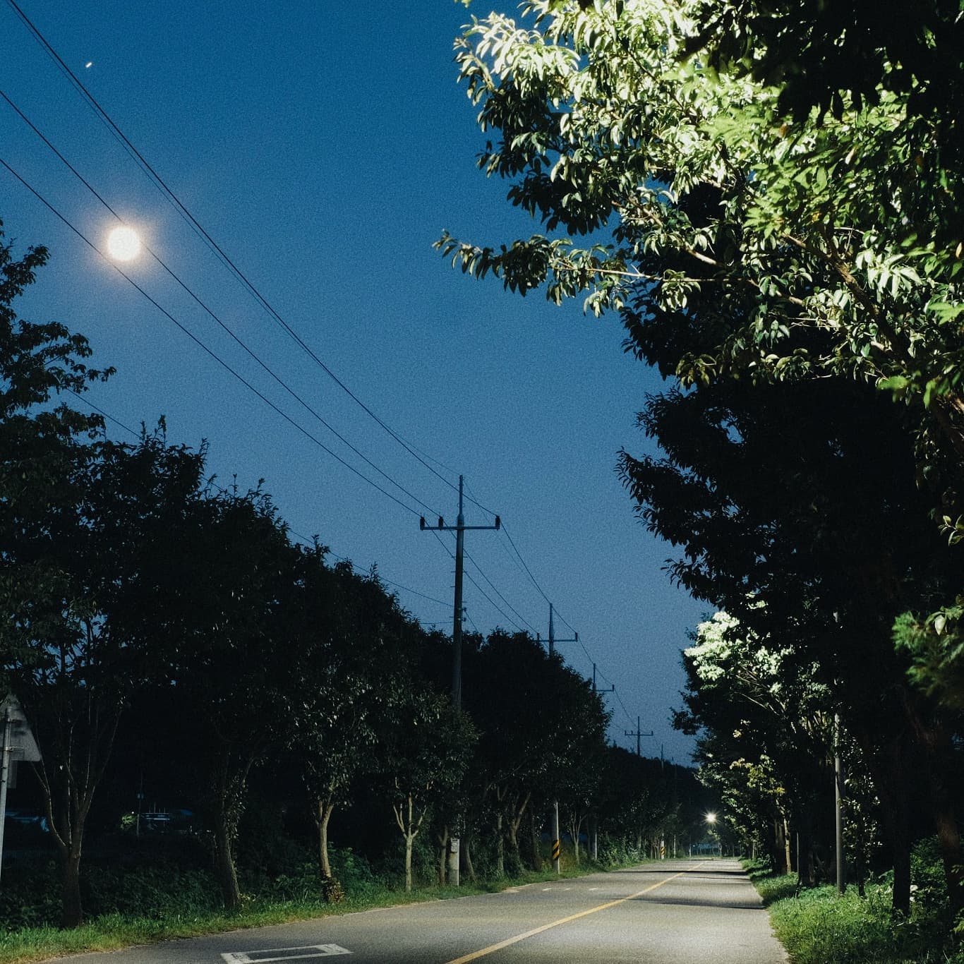 🌔