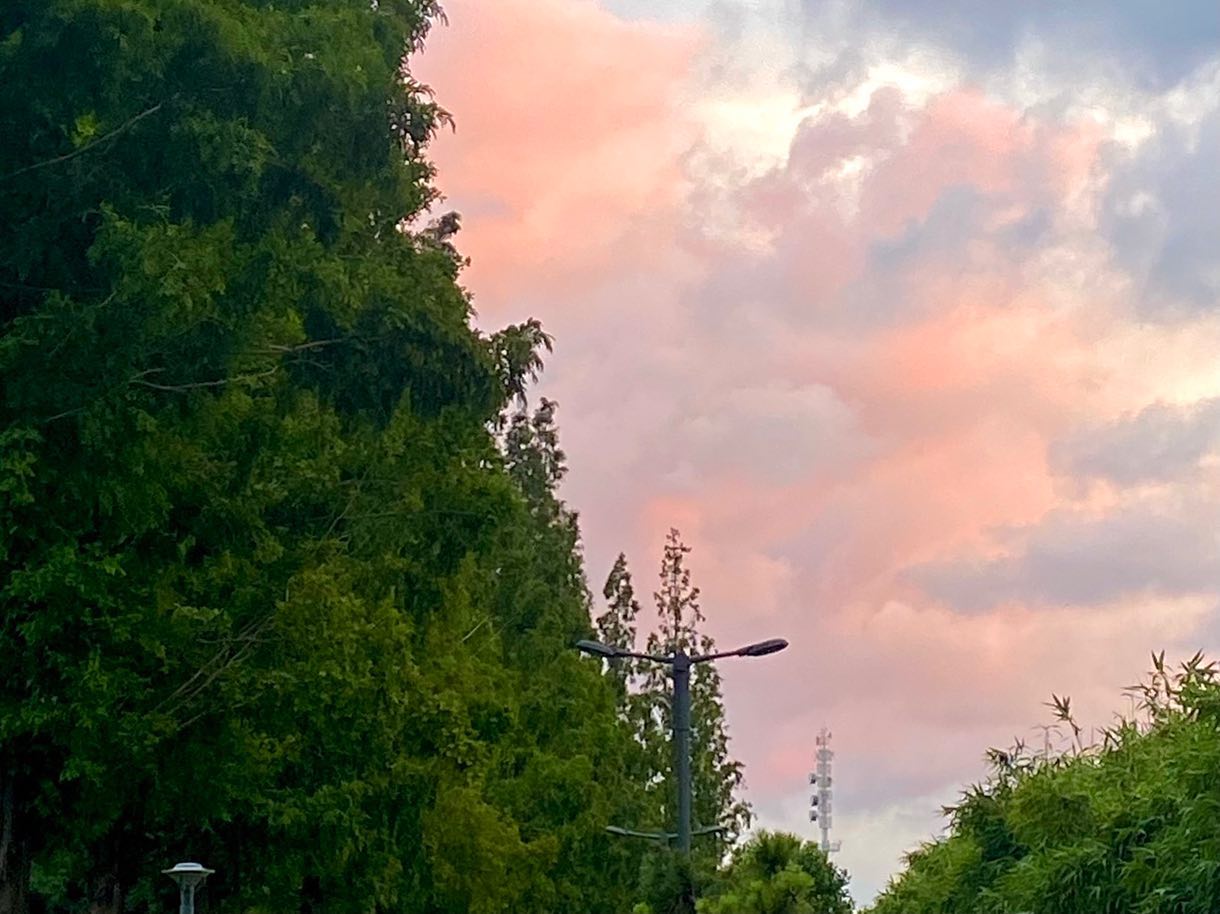☁️💗