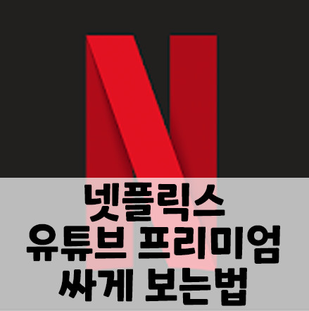 [쉐어컨텐츠] 유튜브프리미엄/ 넷플릭스 싸게 보는 법
