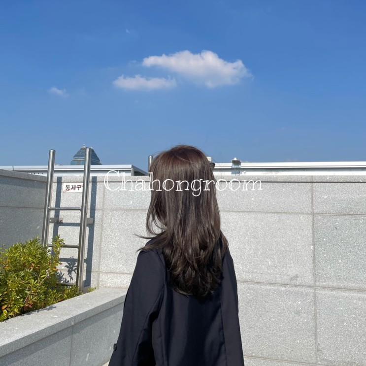 [가을 맞이 올리브 브라운 염색, 강남가을염색, 솜브레염색, 허그컷] 차홍룸 강남대로점 이보미