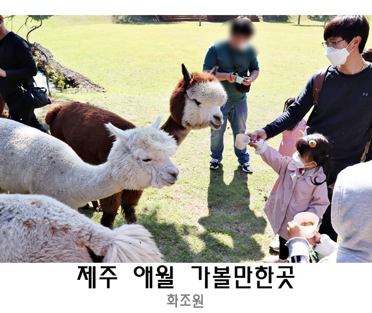 제주동물원 아이와 가볼만한곳 화조원