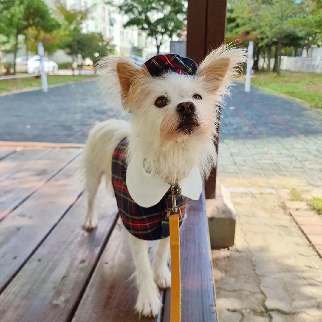 👩‍🎨 슬기 on Instagram: “#협찬 이렇게 포즈 취하면 되는거개?( •́ㅿ•̀ ) _ 칭구들 은하 옷 입은거 보고 가세오ㅠㅠ💖 날씨가 너무 좋아서 예쁜 옷 입고 산책 다녀왔어요! 케이프라서 아