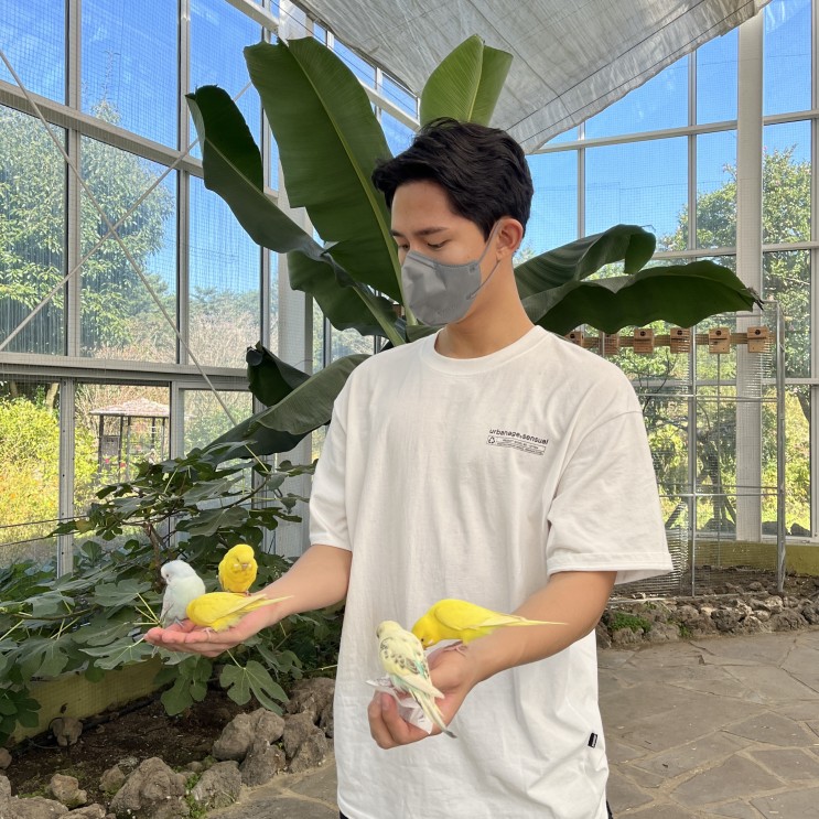 애월 여행 코스로 꼭 들려야 할 화조원