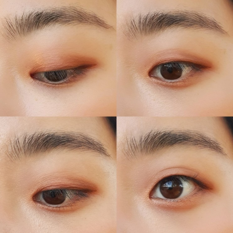 하킷 홀리몰리 아이섀도우팔레트 매우 웜한 인생12컷 팔레트