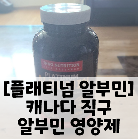 [플래티넘 알부민] 간 건강에 좋은 캐나다 직구 알부민영양제 후기