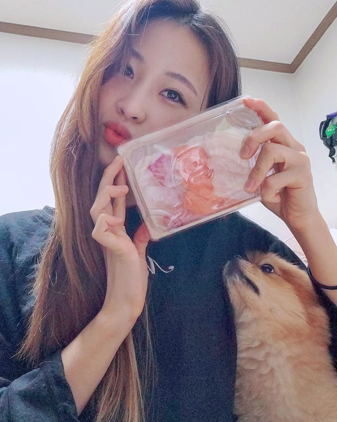 채연’s Instagram profile post: “#오늘회제공 (,,•﹏•,,)𖤐 울님들 굿모닝❤ 다들 출근 잘 하셨나용😎💓 울님들 회 좋아하시나요??😲😲 제가 얼마 전에 시켜 먹었던 #오늘회 를 소개할께용