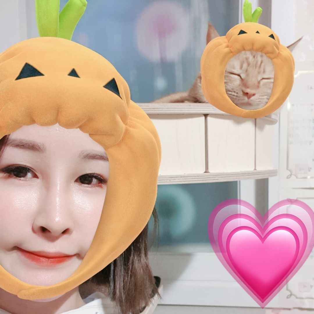 앨리스 on Instagram: “♡#협찬 NOT TOY 챌린지 같이참여해요~ 반려동물은 장난감이 아니라 소중한 우리 가족임을 알리기위한 NOT TOY 챌린지는 견주와 묘주 모두 동참할수 있는챌린지 입니다^^♡