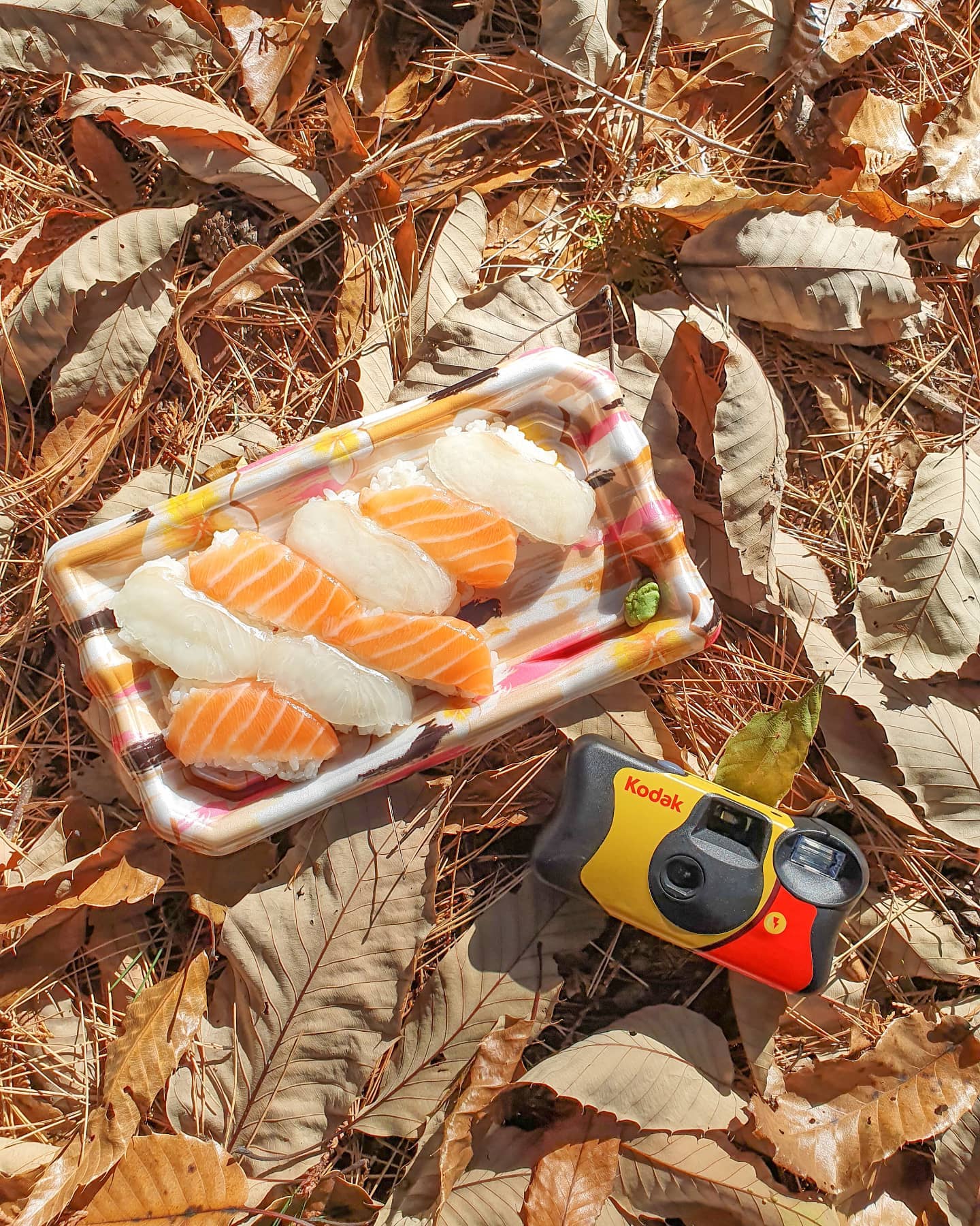 산책하러 왔다가 밥만 먹고 가지요🍣
.
.
#울산 #천마산편백산림욕장 #천마산편백산림욕장_위브부산 #위브부산 #울산힐링여행 #산책 #주말 #등산 #도시락 #스시 #필름카메라 #코닥 #가을 #낙엽 #가을산 #주말나들이 #여행 #울산가볼만한곳 #부산 #인근도시여행 #연어 #광어 #나홀로여행 #autumn #fall #maple #hiking #picnic #sushi #filmphotography