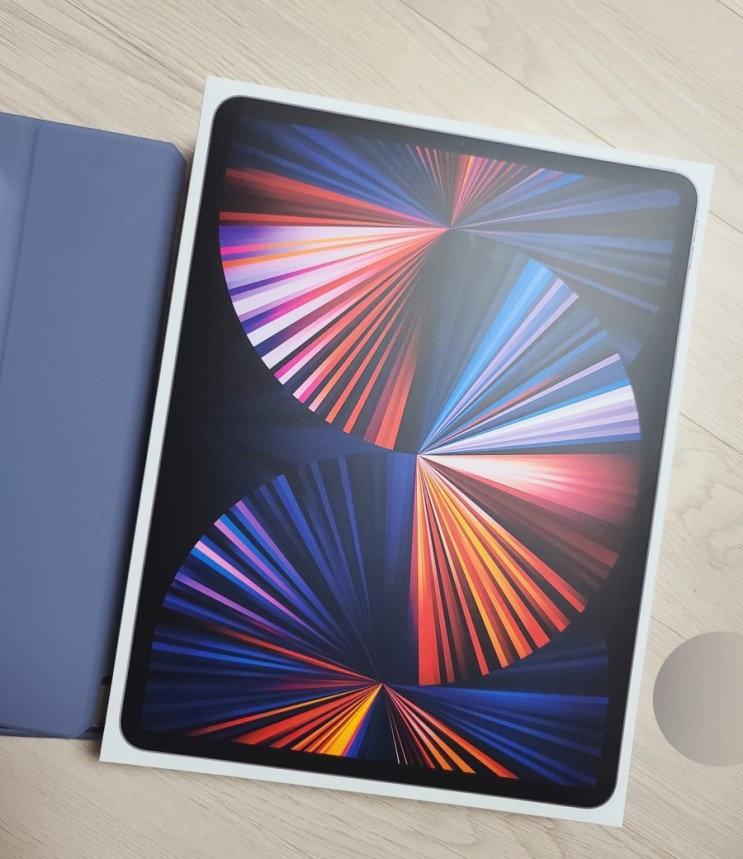 드로잉하라고 남편이 선물해준 Apple 아이패드 프로 12.9형 5세대 M1칩