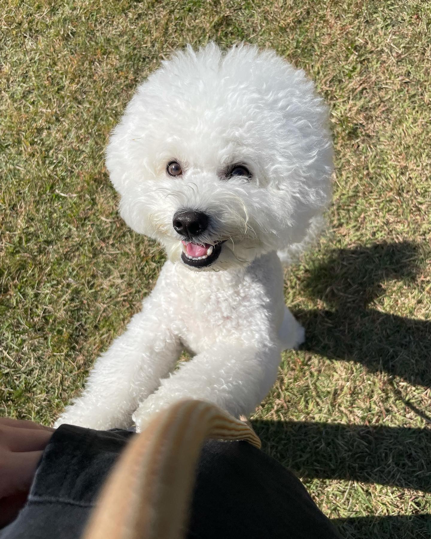 빨리조!!