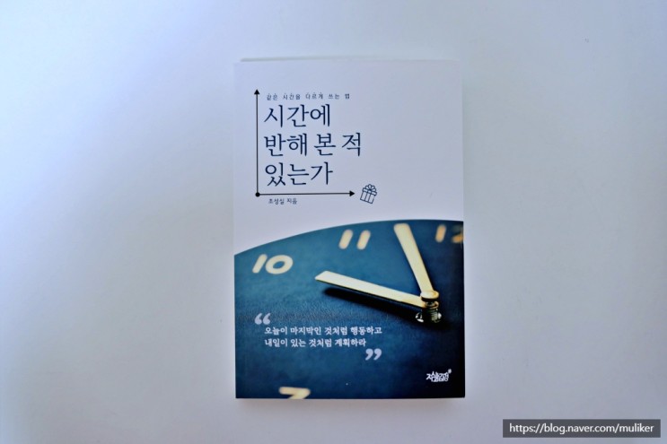 시간에 반해 본 적 있는가 (조성실, 2021)