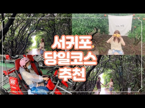 [여름 제주도 여행 끝판왕 2편] 서귀포 여행 당일 코스 추천🧡 | 꿀팁 가득!!! | 찐 힐링 영상을 원한다면 이 제주도 편을 볼 것💛