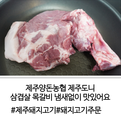 제주양돈농협 제주도니 삼겹살 목갈비 냄새없이 맛있어요