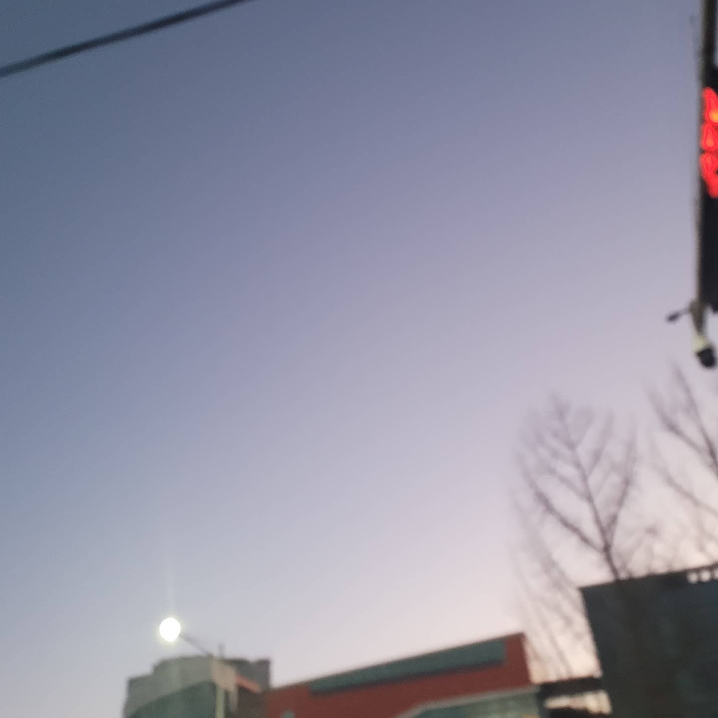내가 백수중에 제일 바빠