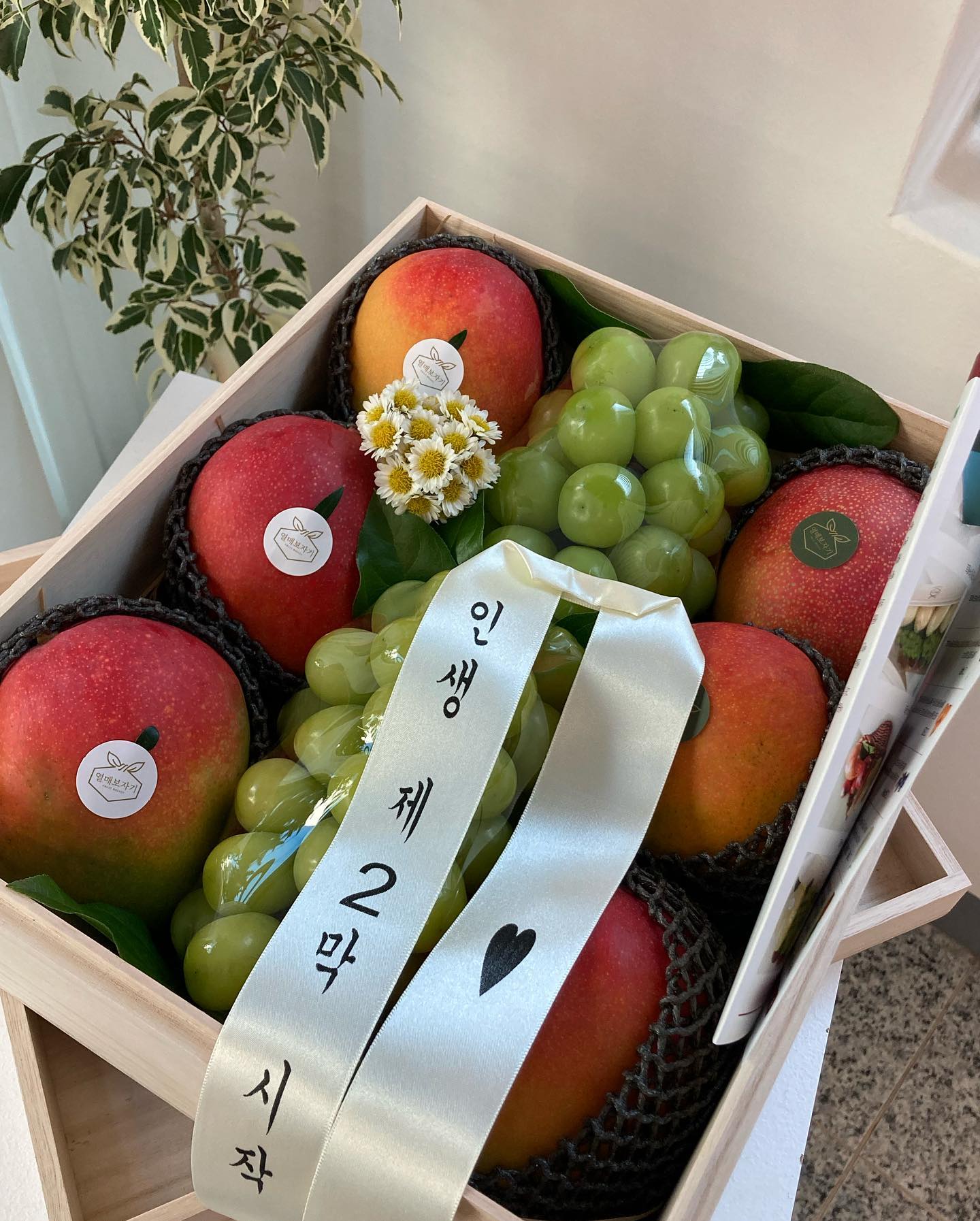 꽃보다 과일선물이 좋다는 우리엄마. 이런 과일바구니(?) 주문은 처음이라 상태가 안좋을까 걱정했는데 생각보다 훠~얼씬 더 좋은 과일들로 준비해주셔서 감동💛

-엄마의 인생 2막을 축하하며-