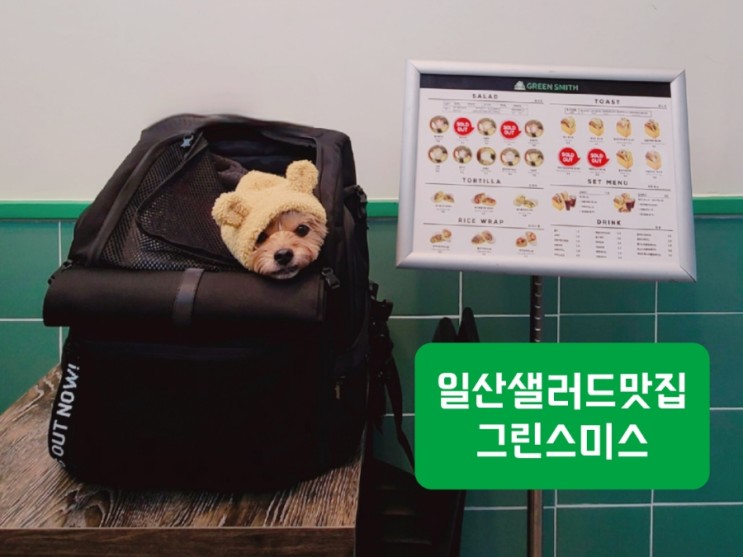 건강한 식단관리는 ⠀⠀⠀⠀⠀⠀⠀⠀⠀⠀⠀일산샐러드맛집  그린스미스~