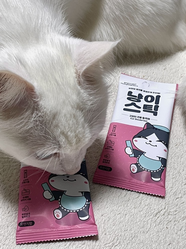 탈취력 한 달간 유지되는 고양이모래탈취제
