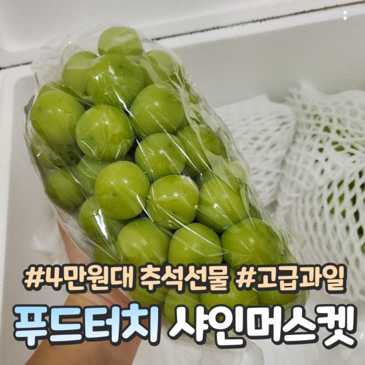 내돈내산 4만원대 추석선물 :: 푸드터치 샤인머스켓
