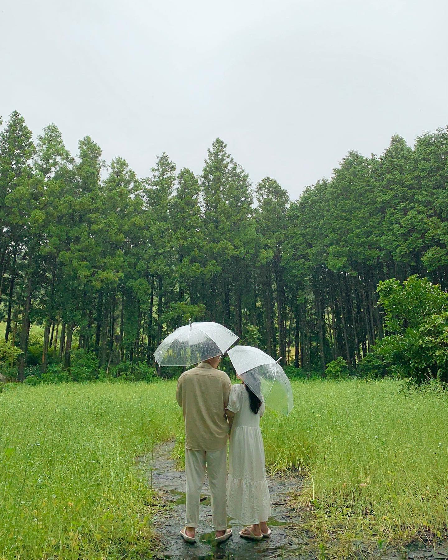 소름이겠지만 아직 제주 1일차도 끝나지 않았다.,
행복했던 작년 여름🌿
#미정승겸