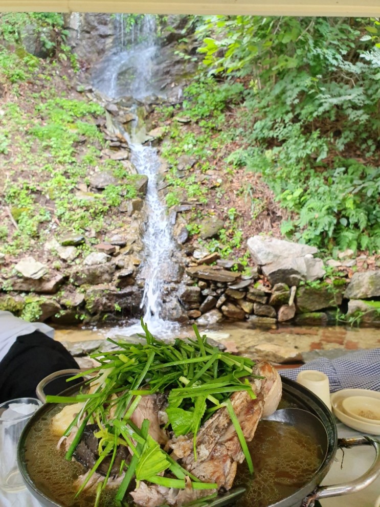 춘천 덕두원계곡에서 신선놀음 : 명월촌 능이오리백숙 솔직후기