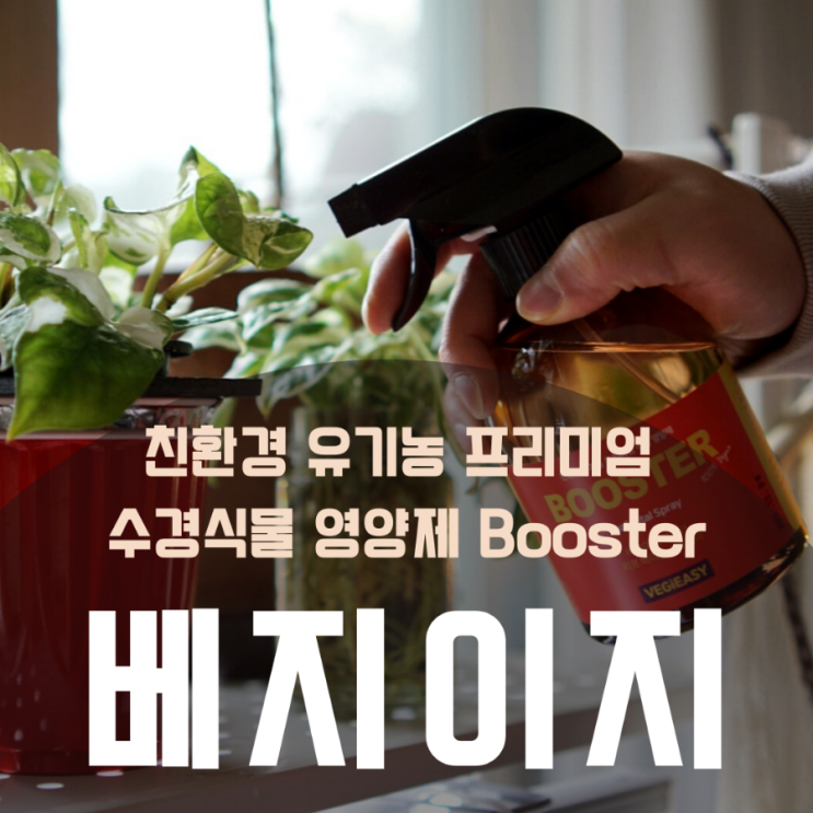 수경재배 식물 영양제 반려식물 에겐 베지이지 부스터