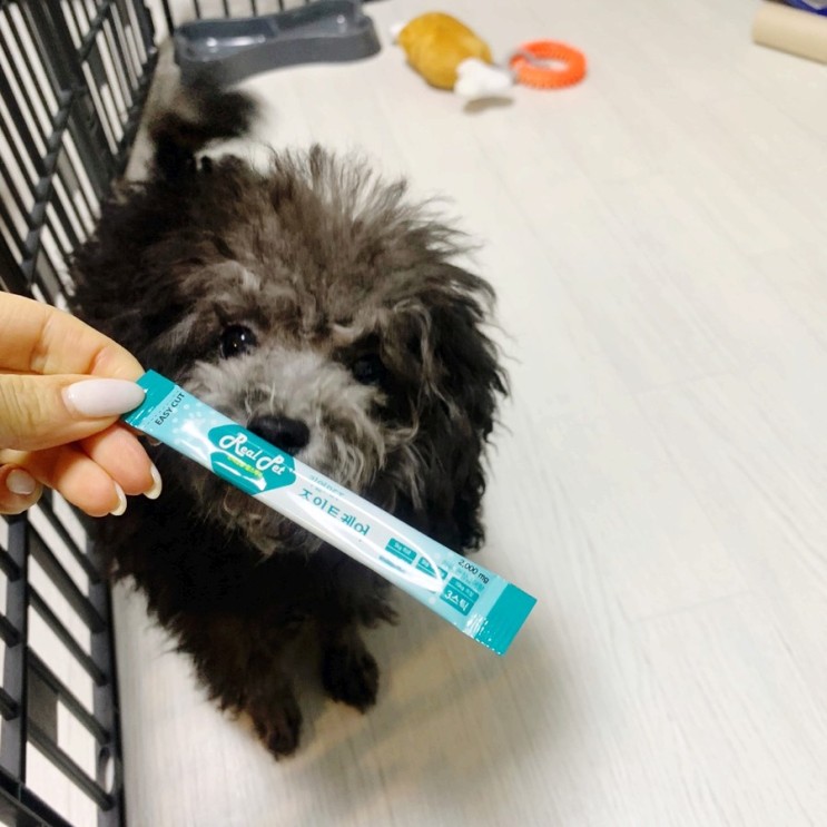 리얼펫 강아지유산균 리얼PET 조인트케어로 슬개골 관리까지