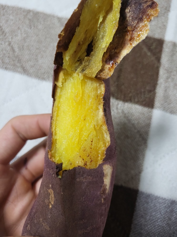 [내돈내산] 에어프라이어로 베니하루카 군고구마 만들기!