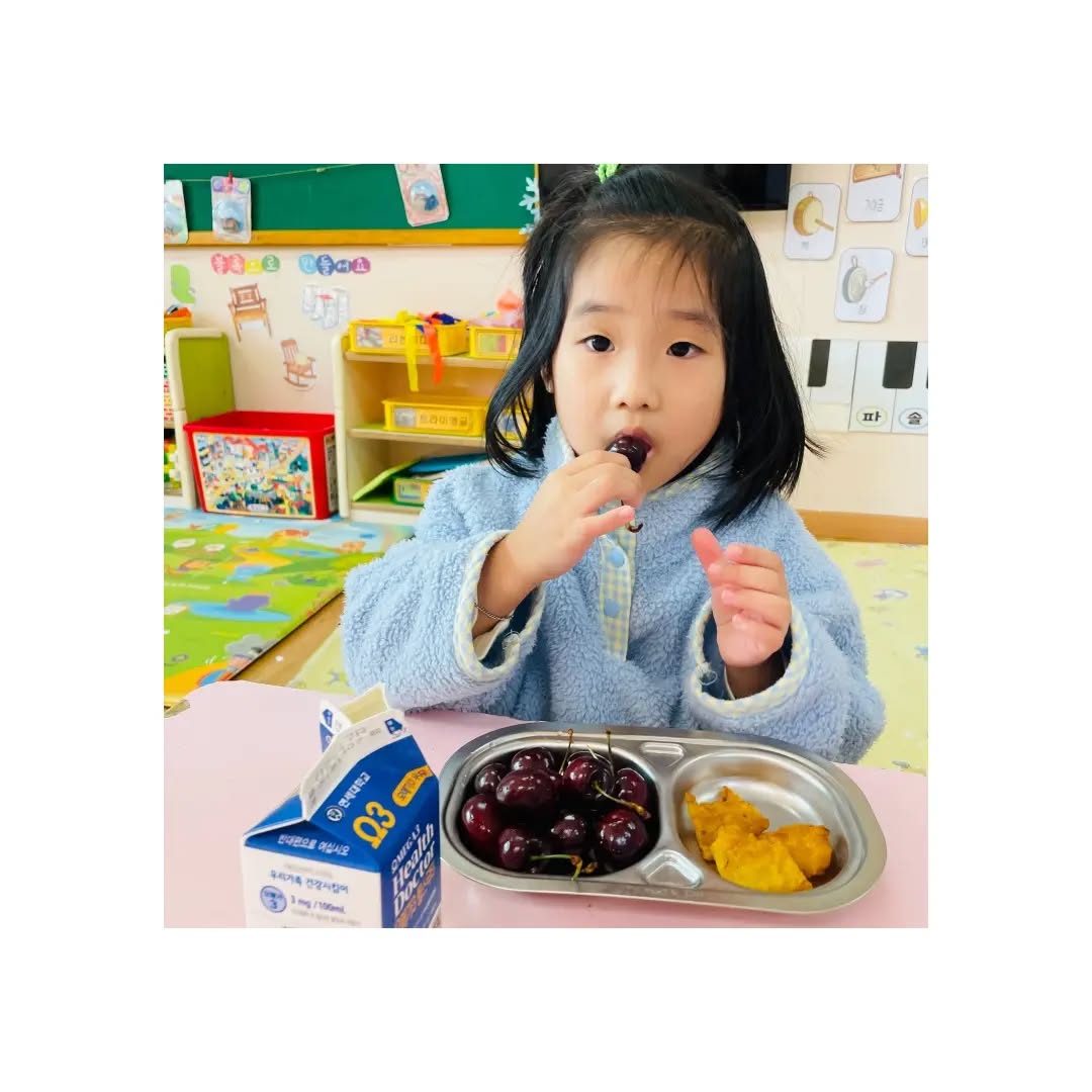키즈노트 이벤트로 
칠레체리 선물하기에 응모했었는데
대박 사건♡
진짜 얼집에 칠레체리12kg가 배달이되었다고 한다
120명이 정원인 얼집이라
설마 당첨되겠어?라고 생각했는데
사장님 짱이시다❤

지금 한창 다시 코로나 확진자가 나와
애들이 많이 안나와서 ㅠㅠ 아쉽
한팩은 쌤이 보내주셔서
이웃에게 힘내라고 이웃나눔실천도 함👍

우리집 꼬마는 밤마다 체리달라고 하고있고
얼집에서도 젤 잘먹었다고🤣
체리에 원래 시큼함이 좀 있었던거같은데
보내주신 칠레체리는 진액도 줄줄나오고
맛도 대박 달콤함 애들먹기에 안성맞춤❤

이런 이벤트 너무 감사합니다👍
.
.
.
#칠레체리 #겨울체리 #겨울제철과일 #레드모먼트
#양주맘