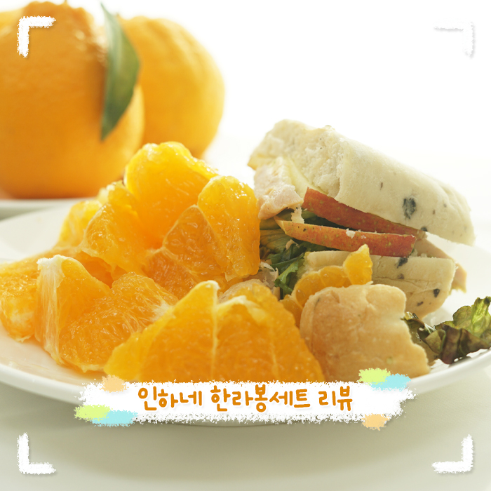 제철과일 제주 한라봉 맛 제대로 즐기고 왔어요!