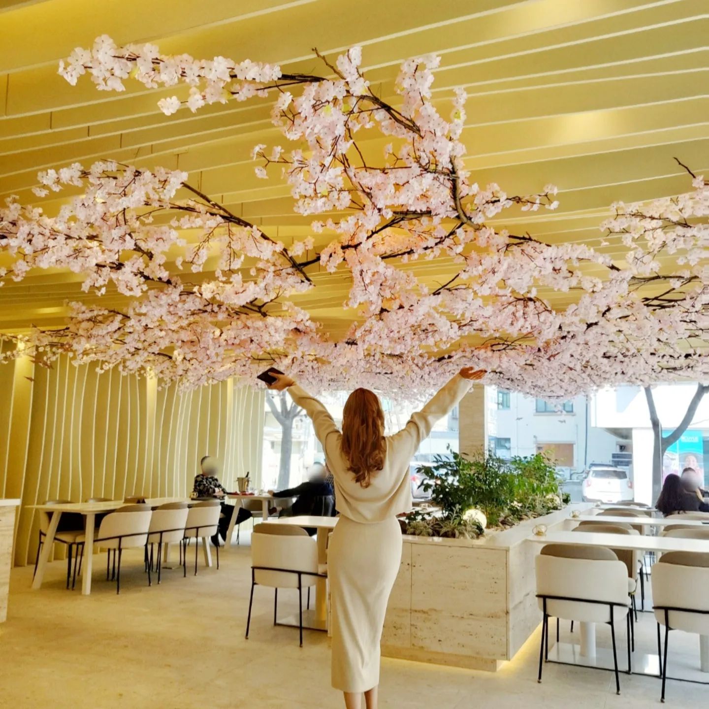 벚꽃놀이🌸