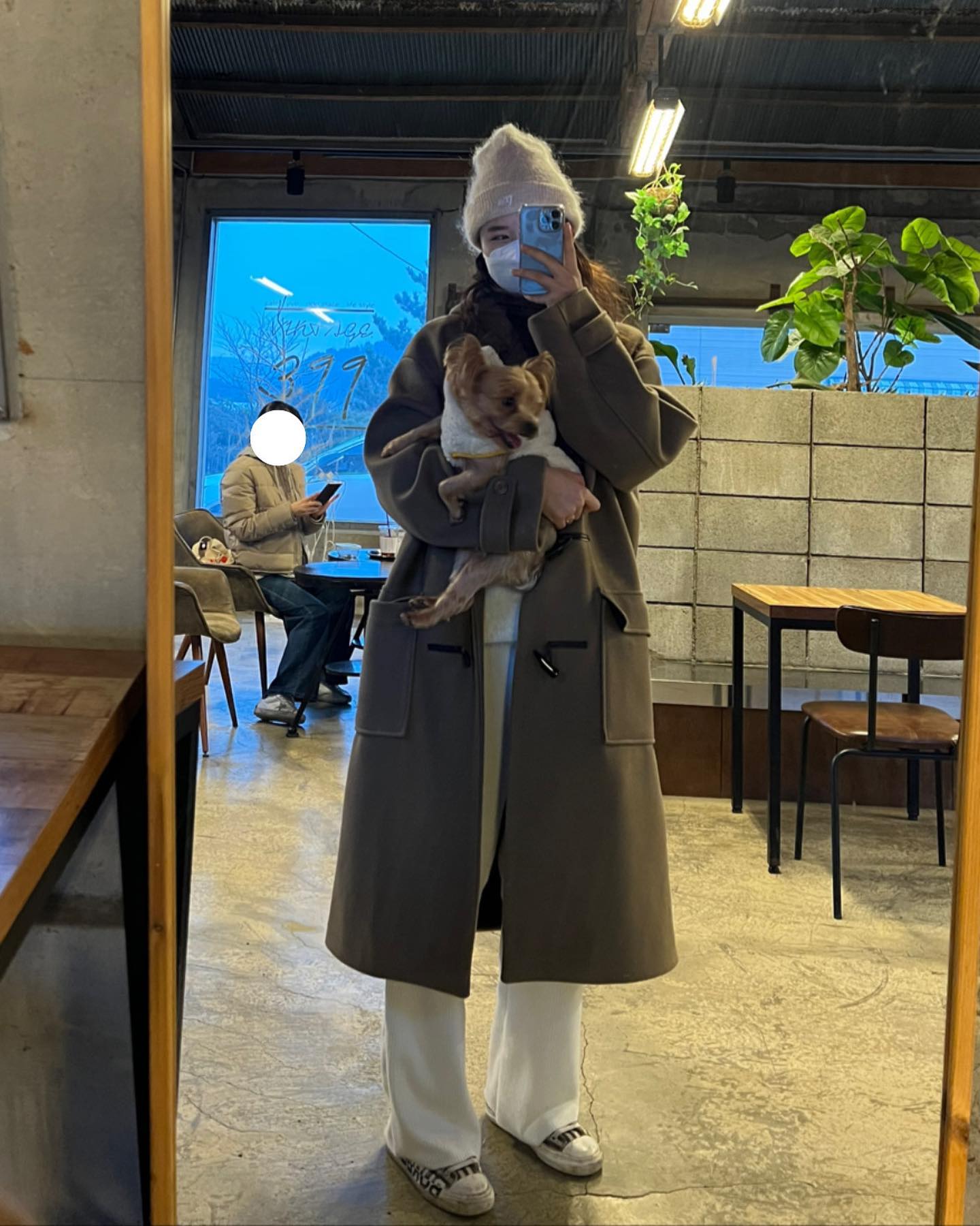 mydog_song