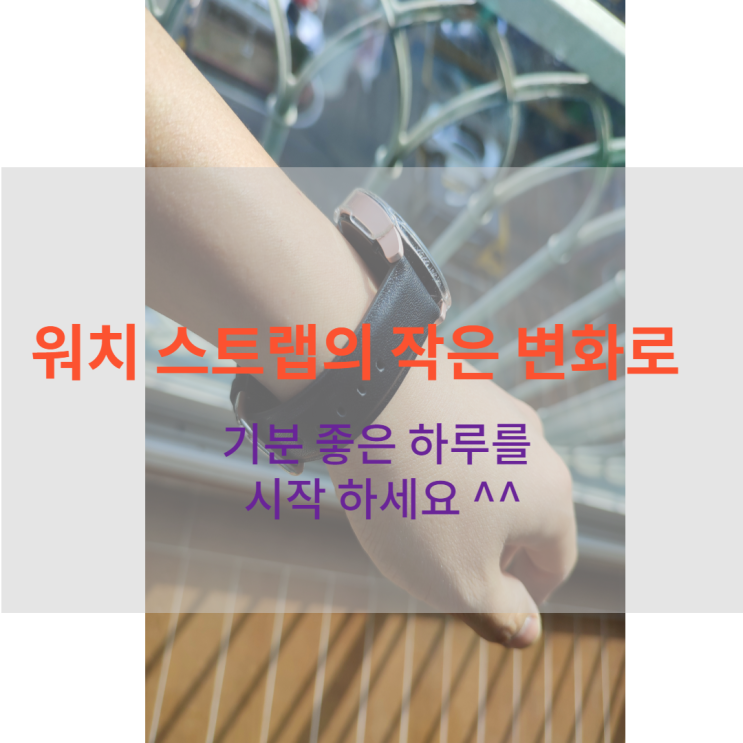 내 손목의 패션 갤럭시 워치 스트랩 / 우먼스9999