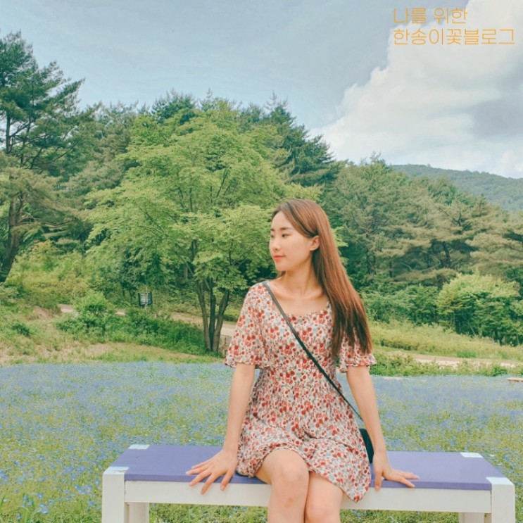 경기도 데이트 코스로 추천하는 평강랜드에서 네모필라보고 왔어요!
